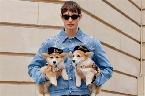 riproduzione abbigliamento cani firmato louis vuitton|Louis Vuitton lancia una collezione di accessori per cani (a prezzi .